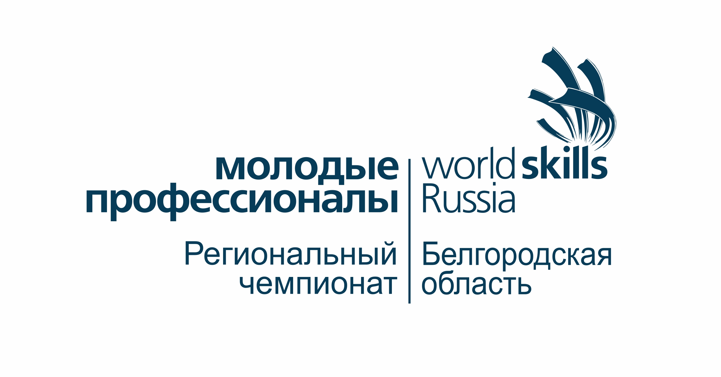 Worldskills Russia